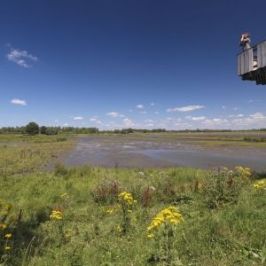 Naar een breder gedragen natuurbeleid